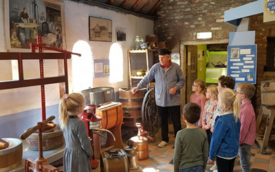 Hoe basisschool De Peddepoel cultuur en omgeving verbindt aan Jeelo-projecten